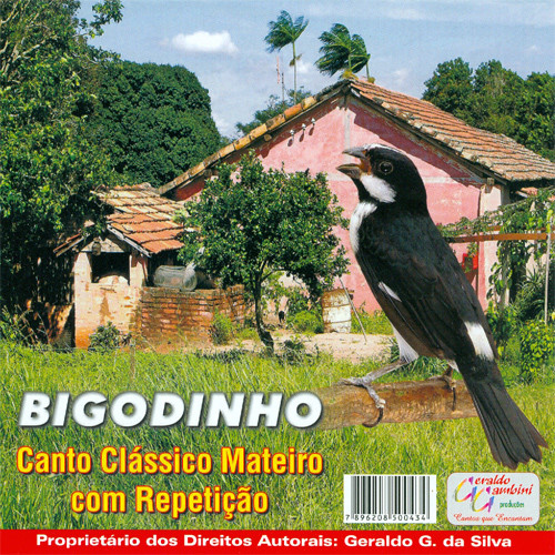 CD - Canto para Bigodinho