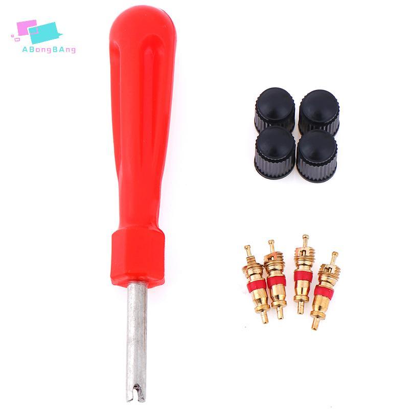 Abongbanghn 1 Conjunto Kit De Serviço De Válvula De Pneu , Núcleos , Chave De Fenda , Reparo De Pneus , Carro , Motocicl