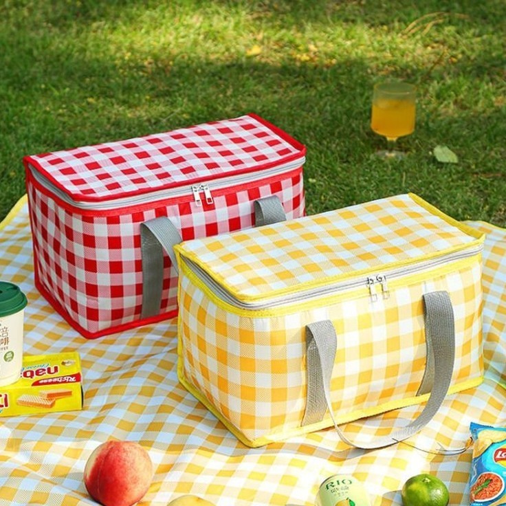 Cesta Térmica Bolsa Piquenique Dobrável Cooler Praia Lanche Camping Picnic Grande 35*20*20cm