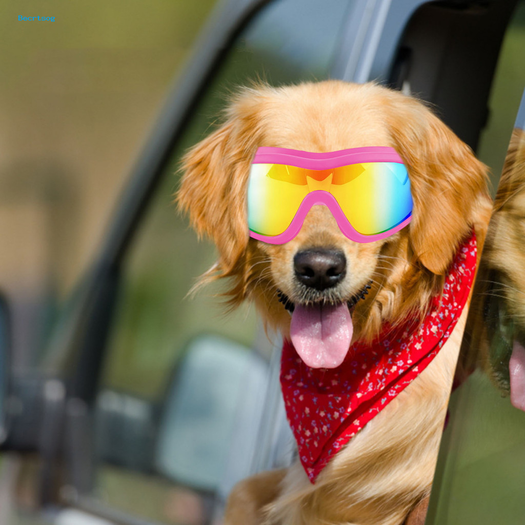 Óculos De Sol Para Animais De Estimação À Prova De Poeira Elegantes Cães Raças Médias A Grandes Protegem Os Olhos Do Seu