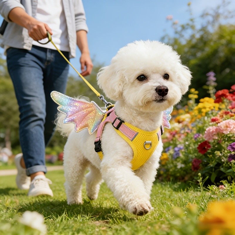 Coleira para animais de estimação, colete para animais de estimação, esquema de cores dopamina, formato de asas de arco-