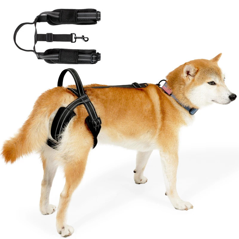 Arnês de Suporte para Cães, Arnês de Elevação para Reabilitação das Patas Traseiras, Suporte Poderoso com Alça Ajustável