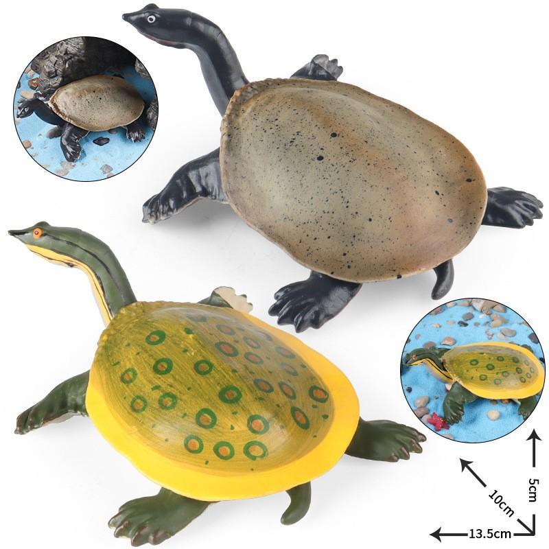 Crianças educação científica brinquedos cognitivos simulação modelo Animal tartaruga anfíbia tartaruga brasileira boneca