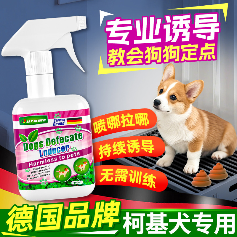 Corgi cão fezes indutor ponto fixo defecação treinamento toalete atraente evitar que cães colocar merda urina ferramenta