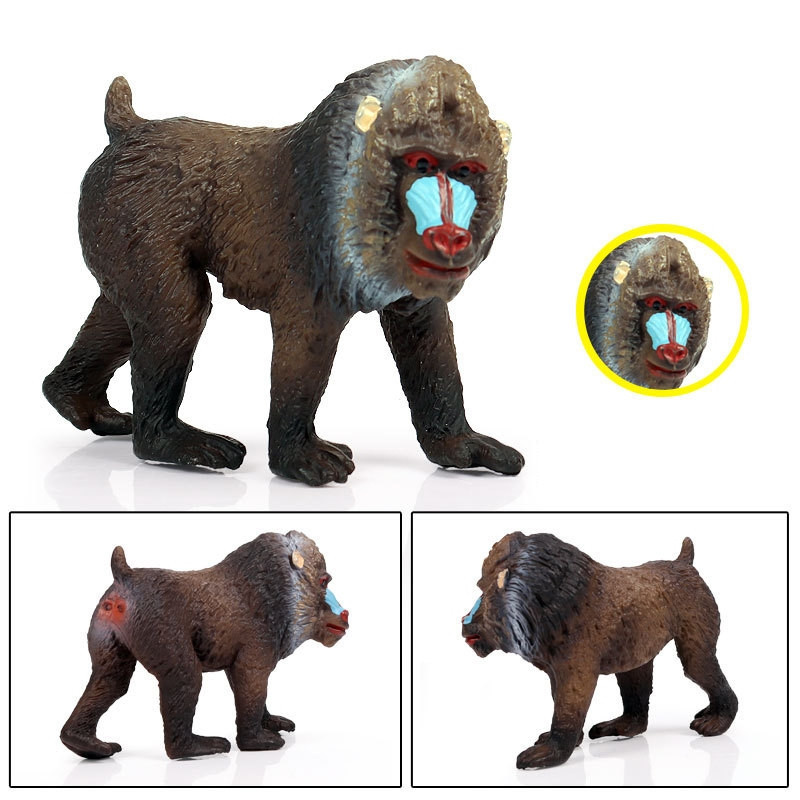 Modelo realista de babuíno, gorila e macaco de cara vermelha, brinquedo infantil decorativo que simula o mundo da vida s