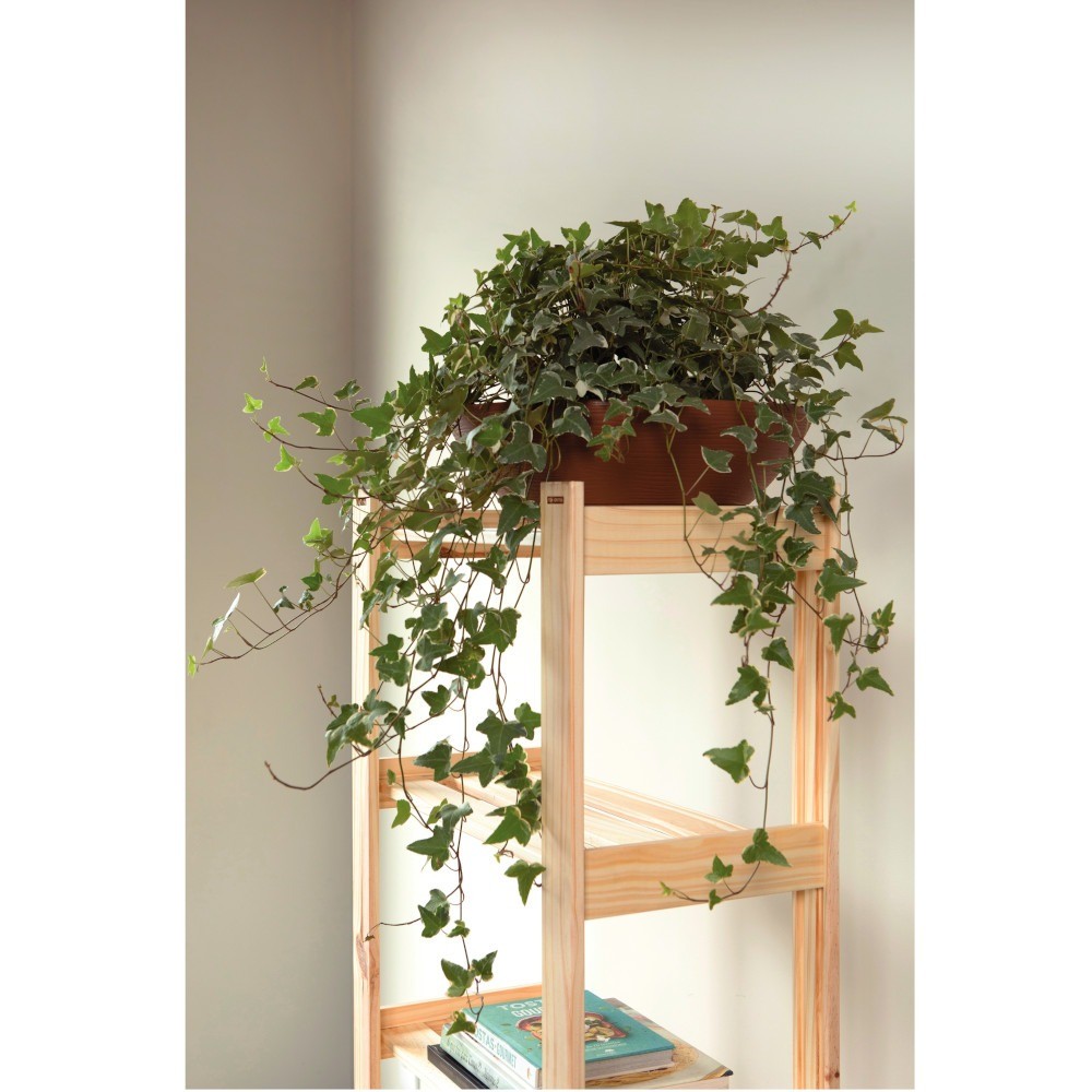 Detalhes do Estante Modulare em madeira pinus com 4 prateleiras 62,2 x 30,2 x 107,2 cm - Tramontina