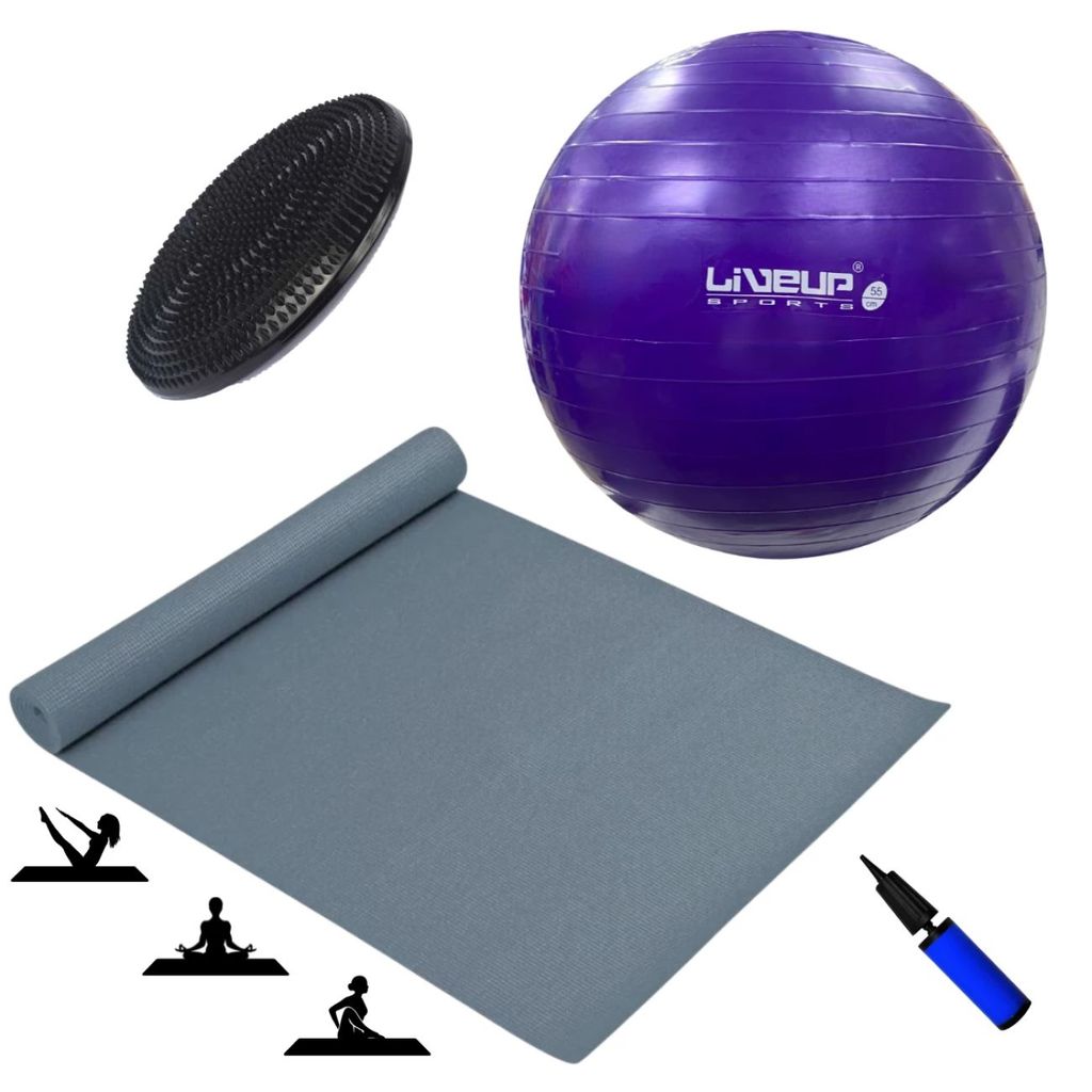 Bola Suíça Roxa 55cm com Mini Bomba + Colchonete Eva Cinza + Disco de Equilíbrio Inflável
