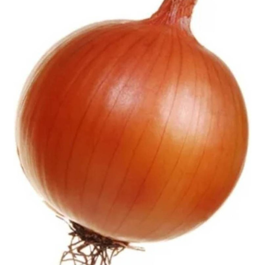 1000 Sementes De Cebola Crioula Tops em Oferta na Shopee