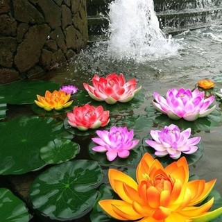 Rara 2 Sementes de Flor de Lotus Sortidas