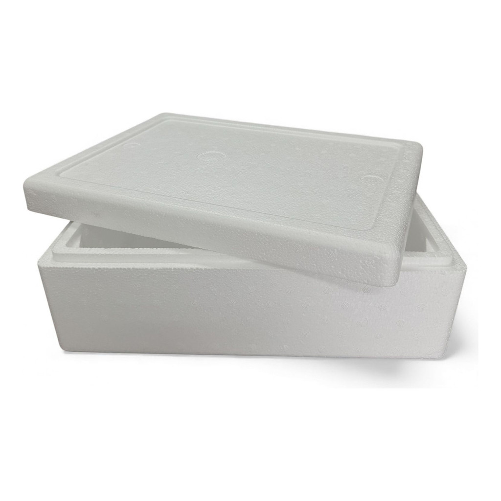 Caixa Térmica 8l Para Pescado Salgado Doce Churrasco Branco