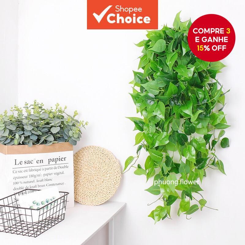 Paredes Betel: Guia Completo e Onde Comprar | BuscaProdutos