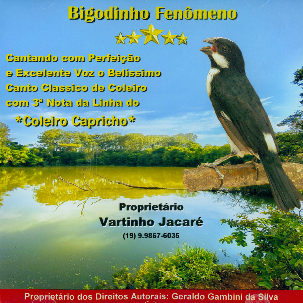 CD - Bigodinho Fenômeno - Canto Clássico de Coleiro 3ª Nota
