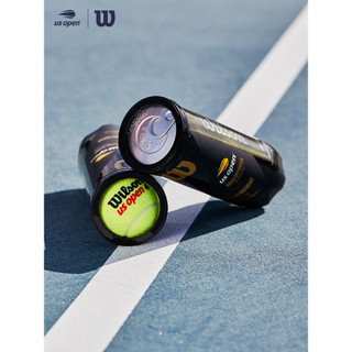 Wilson Wilson American Network Tennis Multi-Court Adulto Treinamento de Competição Profissional 3 Latas Tênis