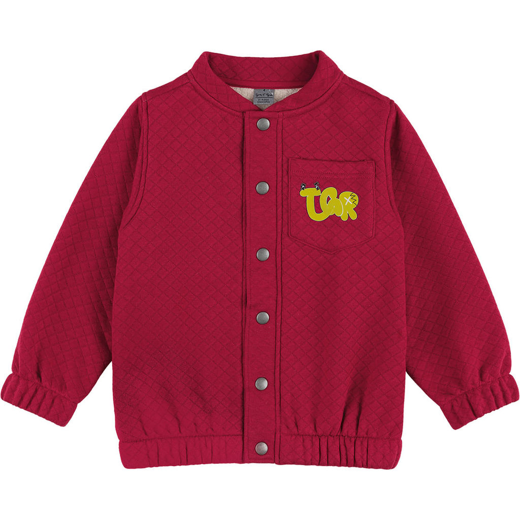 Jaqueta Forrada Infantil Menino Tigor T. Tigre