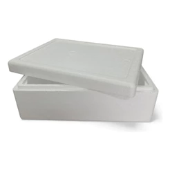 Caixa Térmica 8l Para Pescado Salgado Doce Churrasco Branco