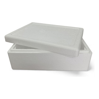 Caixa Térmica 8l Para Pescado Salgado Doce Churrasco Branco