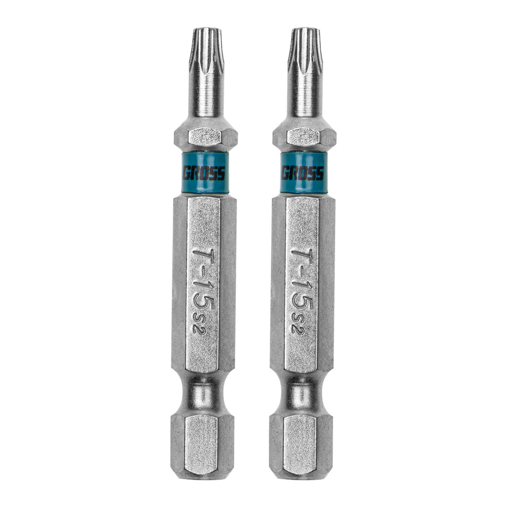 BITS TORX T15, ACO CROMO MOLIBDENIO, 50MM, 2PCS // GROSS
