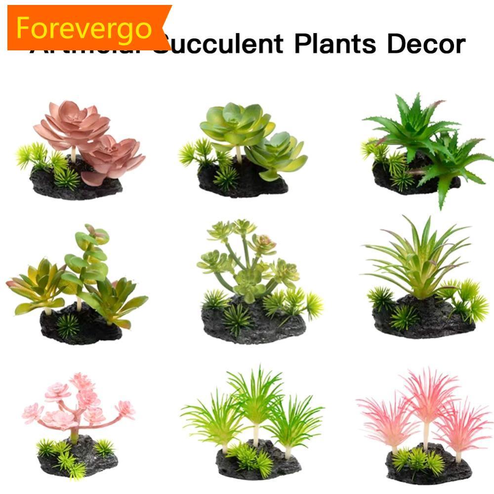 forevergo Simulado Suculenta Realista Planta Falsa Réptil Terrário Decoração Vegetação Artificial Para Vivarium Aquário