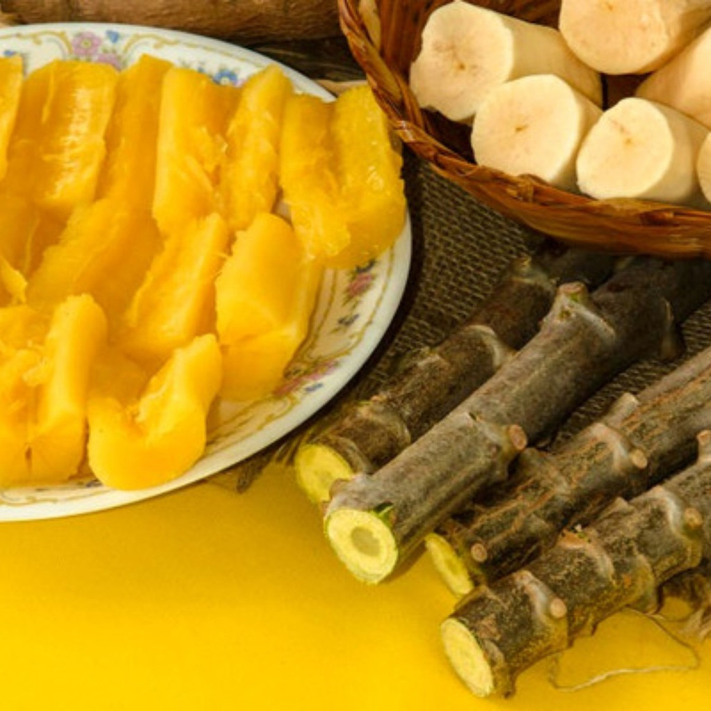 O que é Maniva de Mandioca? Guia e Onde Comprar | BuscaProdutos