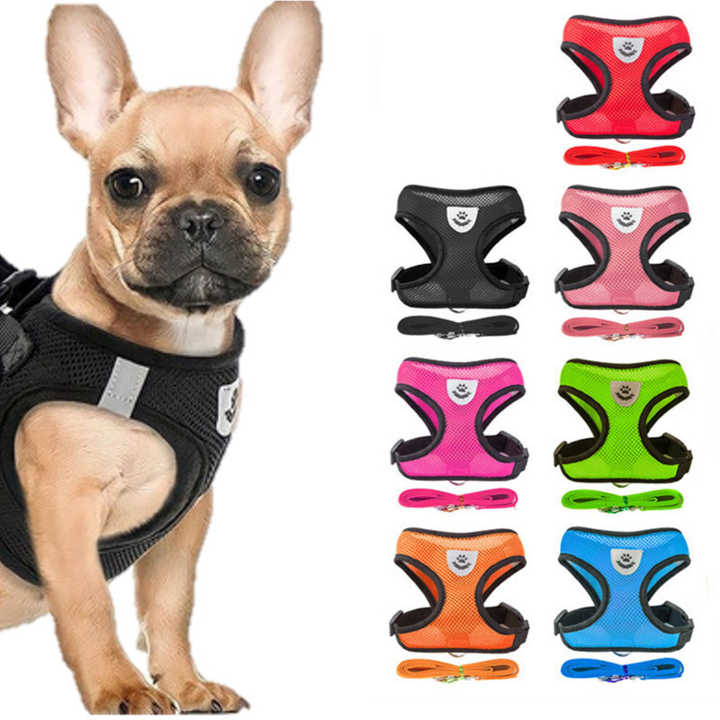 Coleira Peitoral Cães E Gatos Ajustável Com Guia Colete Pet - Diversas Cores  e Tamanhos! - Desconto!