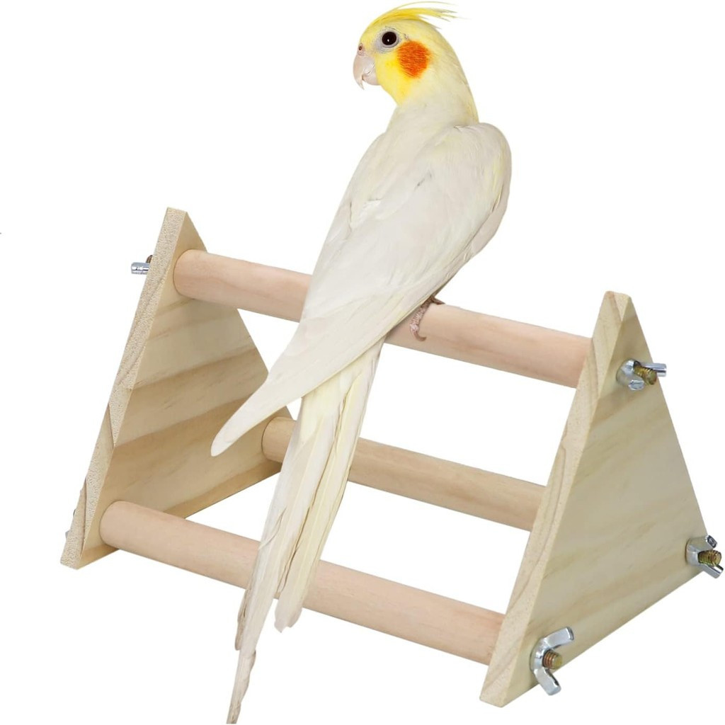 Papagaio Poleiro De Madeira Para Pássaro Arara Cinza Periquitos Periquito Cacatua Calopsita Lovebird Mesa Treinamento Su