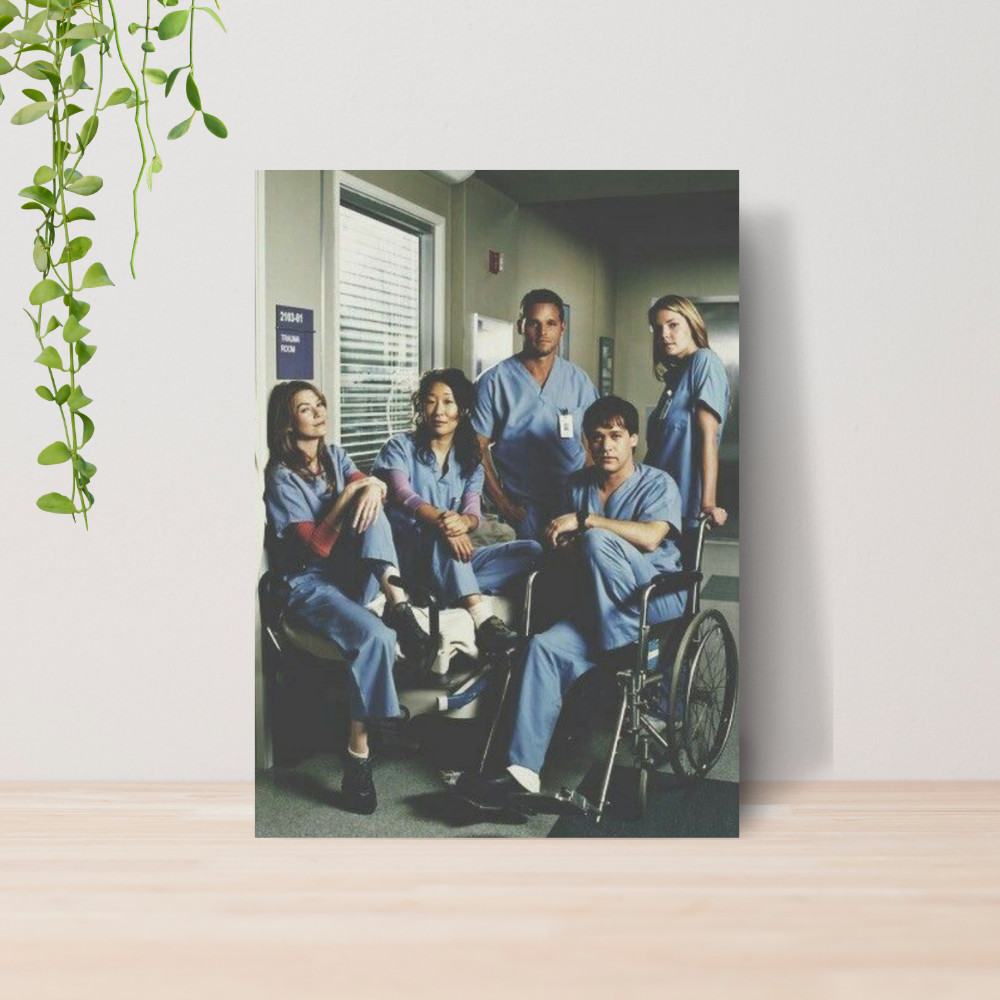 Quadro Decorativo Grey's Anatomy Série Médica Hospital 09 | Placa 20x28