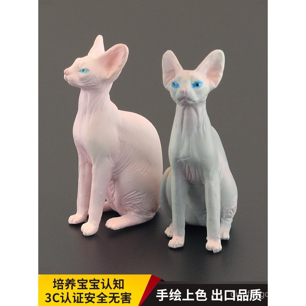 Brinquedo realista de animal sólido para crianças, modelo de animal, gato sem pelos canadense Sphynx, ornamento educativ