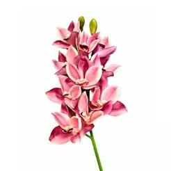 Orquídea Cymbidium 3D Artificial Decoração Arranjos