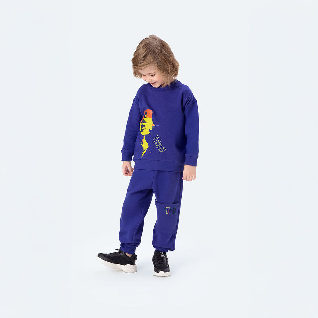 Conjunto Longo Infantil Menino Tigor T. Tigre