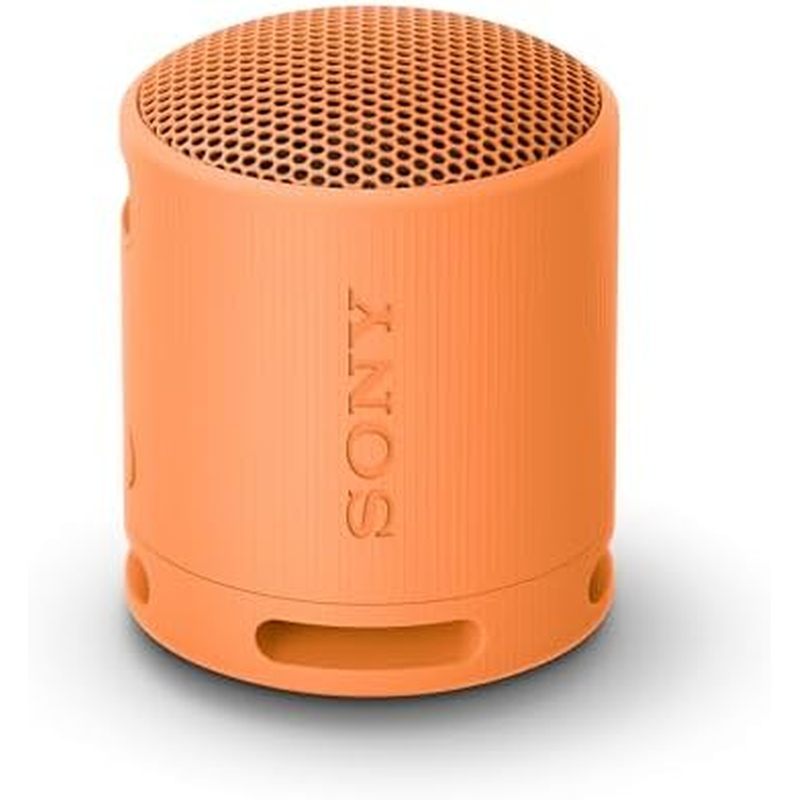 Sony SRS-XB100