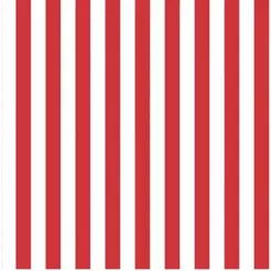 FOLHA DE EVA 40X60 ROLINHO MINI LISTRA BRANCO/VERMELHO 2063 - 17694