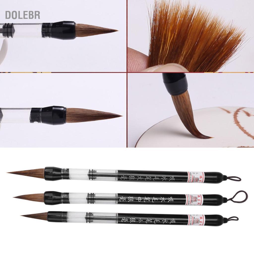 Dolebr Caneta pincel de água chinesa com preenchimento de pistão, 6 peças, macio e duro, marrom, canetas de caligrafia