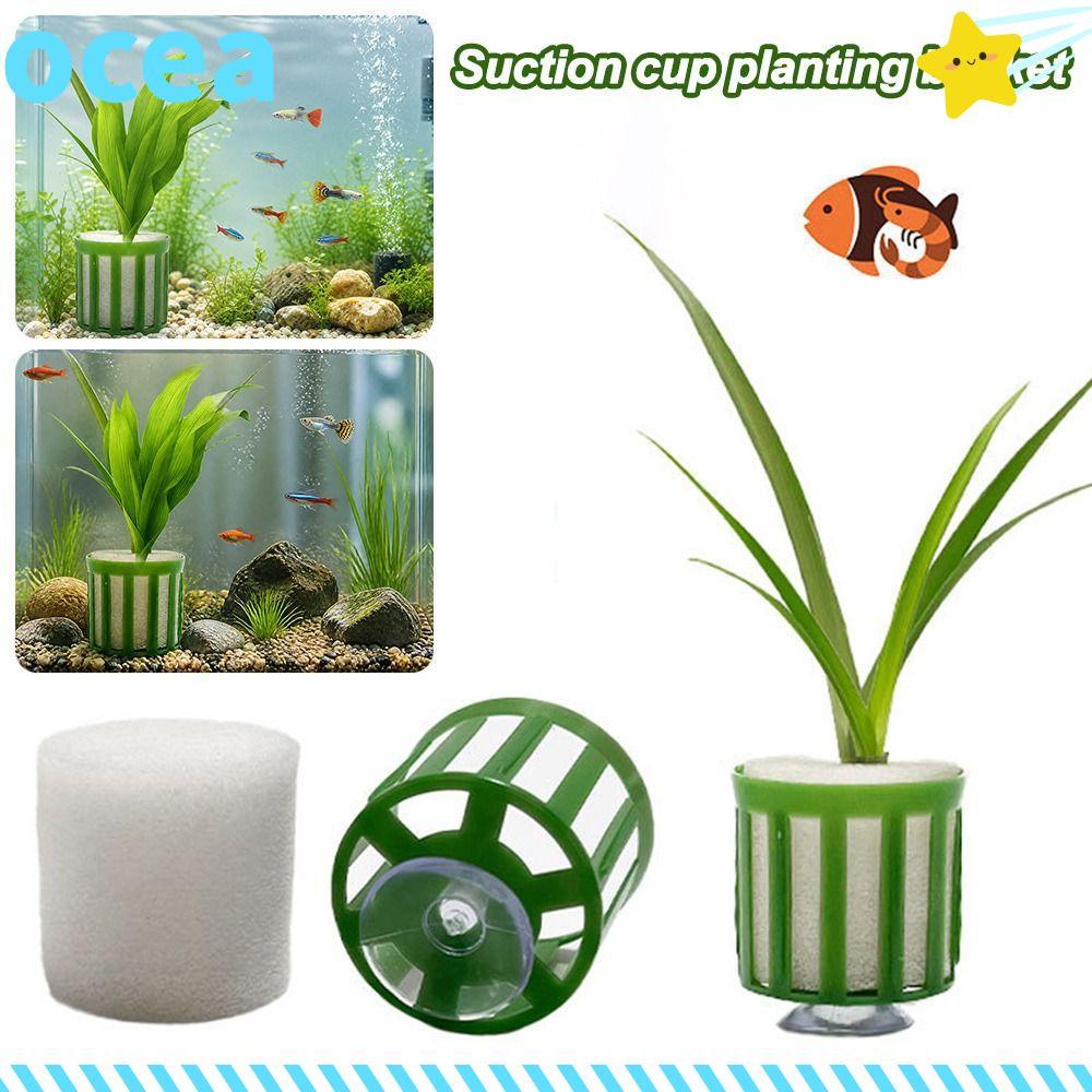 Anel Fixo Para Plantas De Aquário OCEA , Estável , Fácil Instalação , Suporte Tanque De Peixes , Ventosa