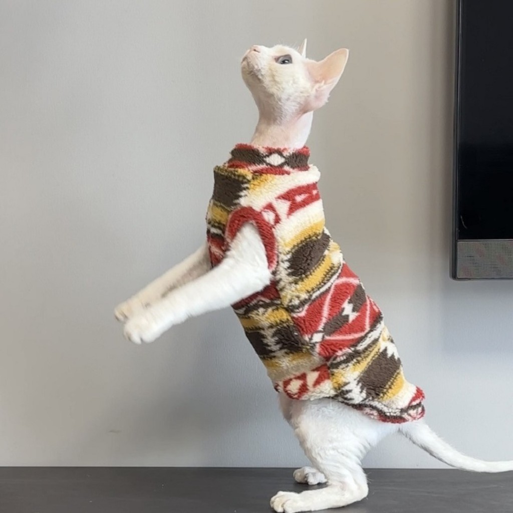 Quente Coral Veludo Sem Pêlos Roupas De Gato Inverno Sphynx Colete Gola Alta Gatinho Filhote De Cachorro Traje Pet Adiçõ