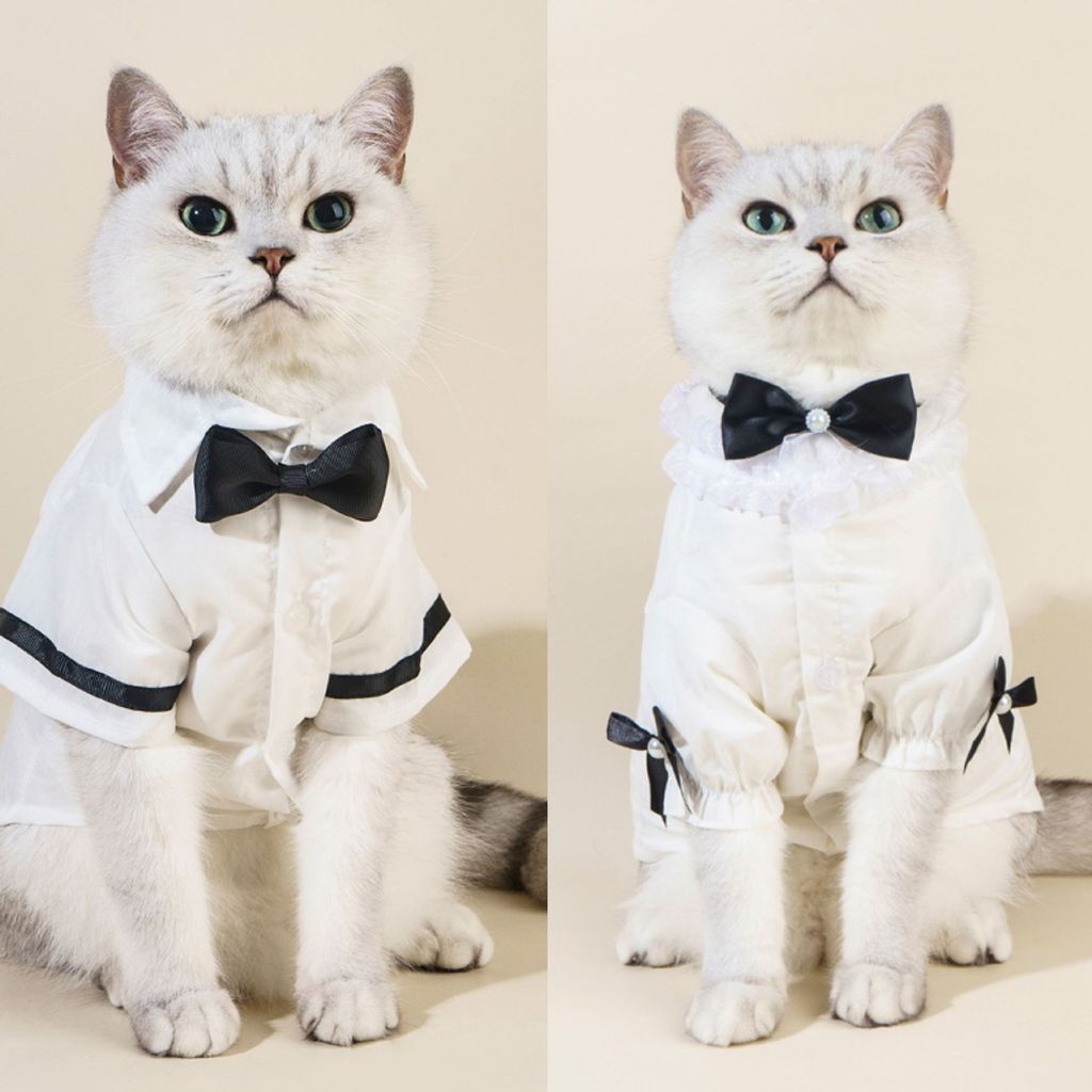 Casal de animais de estimação usa jaqueta de cachorro gato saia de areia de casamento roupas para animais de estimação
