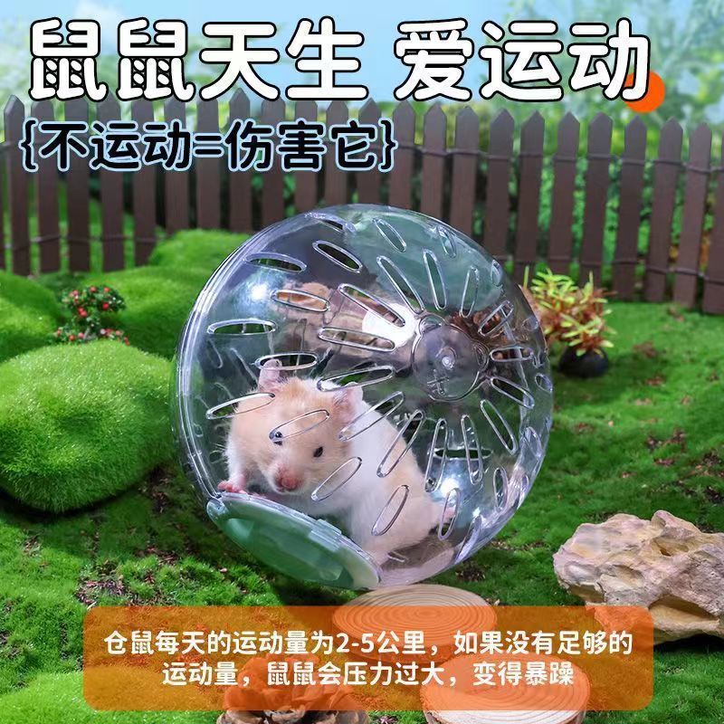 Bola de corrida para hamster, brinquedo para aliviar o tédio, bola de exercício silenciosa, bola rolante para hamster do