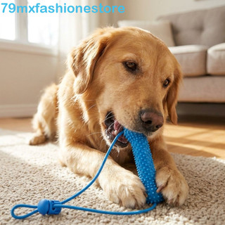 Bastão De Dentição Para Cães MXFASHIONESB , Brinquedo De Limpeza De Dentes De Animais De Estimação Resistente À Mordida 