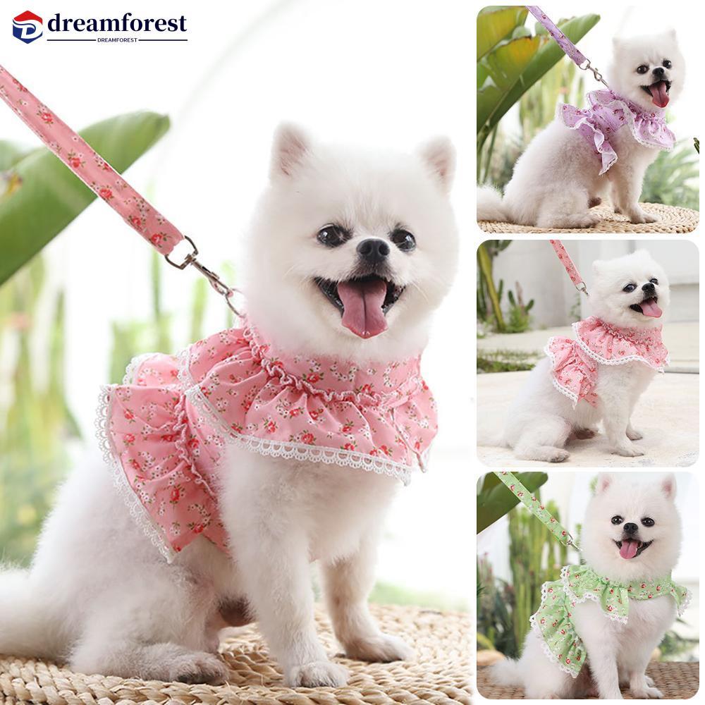 DREAMFOREST Conjunto De Coleira E Arnês Para Animais De Estimação , 1.2M , Corrente Cães Pequenos Gatos , Caminhada , Co