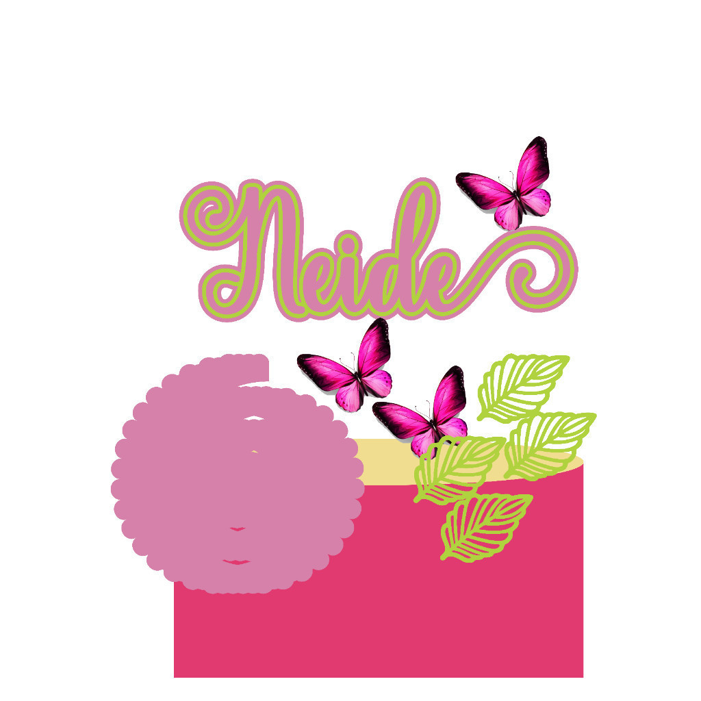 Topo De Bolo Neide Flores E Borboleta Rosa Personalizado Com Nome E Idade
