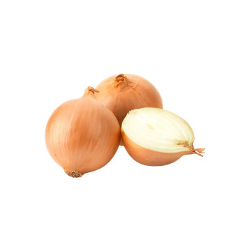 Cebola Orgânica Sítio Cambara