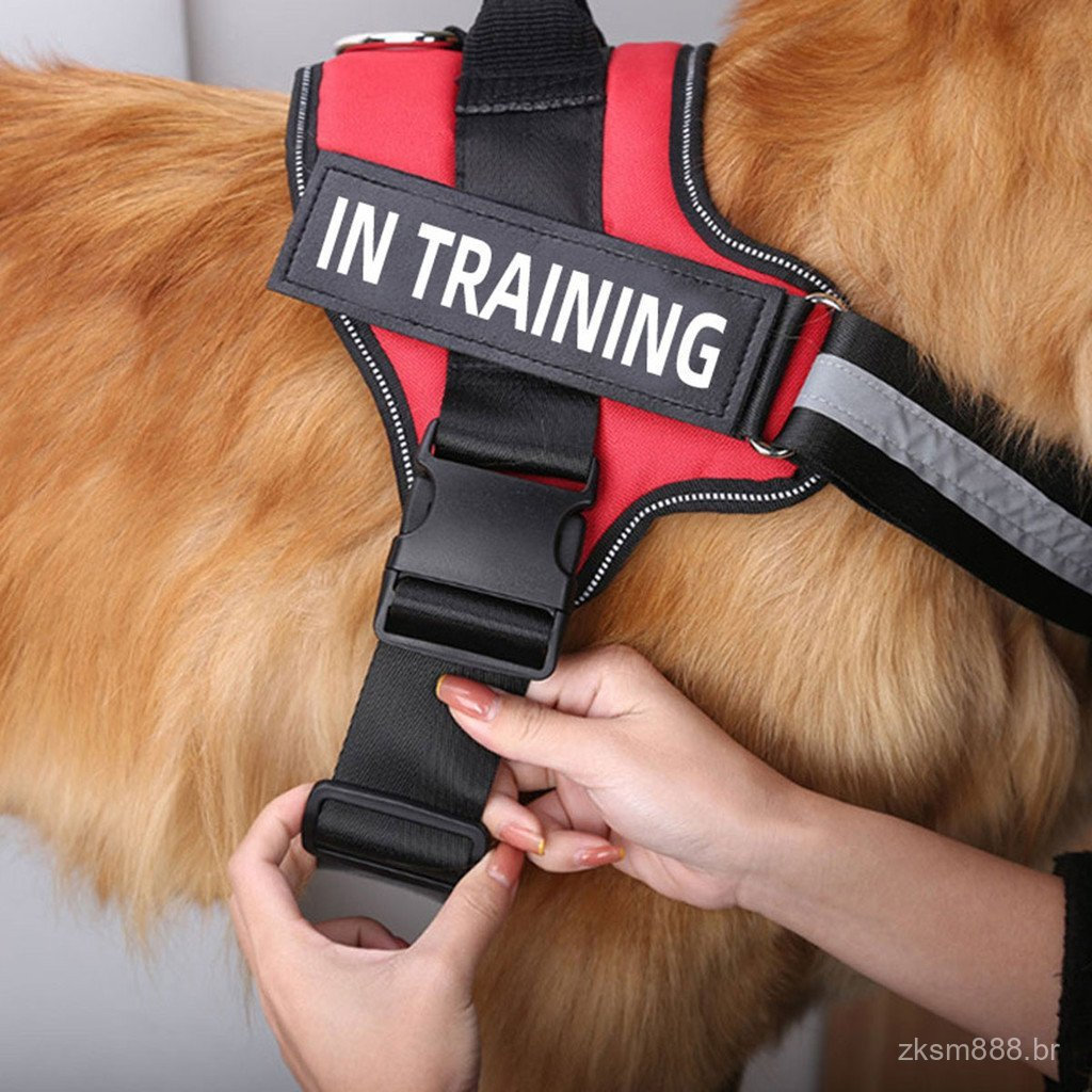 Arnês básico para cães, arnês anti-puxão para animais de estimação, equipado com 3 pontos de fixação para guia lateral,