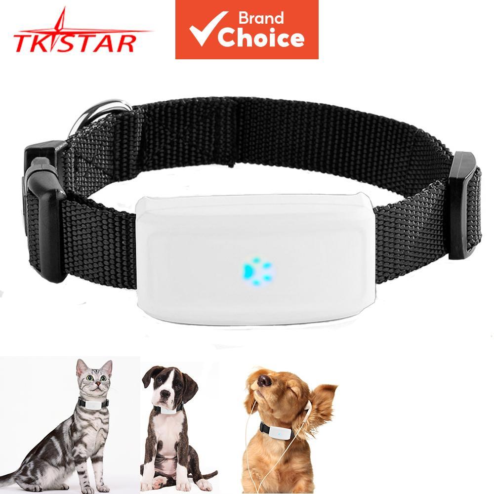Rastreador GPS para pets (cães/gatos) 2G: localização em tempo real, coleira ajustável, histórico de rotas, cerca