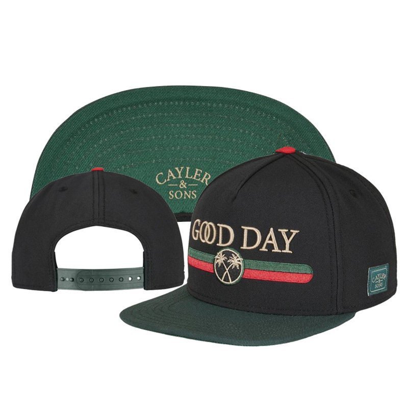 Novo produto transfronteiriço CAYLER SONS, boné de aba reta estilo hip-hop com padrão verde bordado de coqueiro para hom