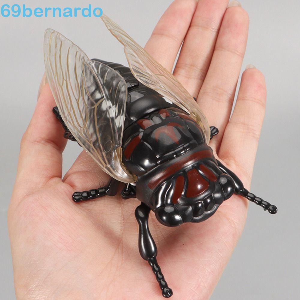 Brinquedo Modelo De Inseto BERNARDO , Brinquedos De Insetos De Enrolamento De Corrente De Simulação De Cigarra Scarab ,