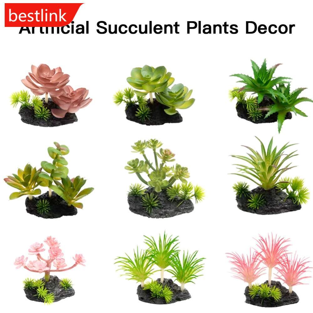 BESTLINK Simulado Suculenta Realista Planta Falsa Réptil Terrário Decoração Vegetação Artificial Para Vivarium Aquário T