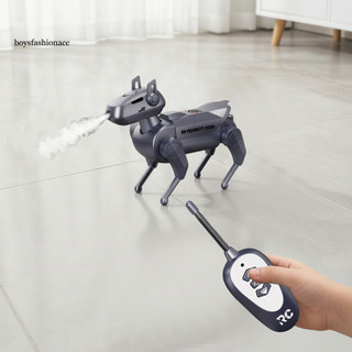 Remote Control Robot Dog Toy with Mist Spray – Electric Walking Puppy for Toddlers Boys Girls Fun Mechanical Pet for K