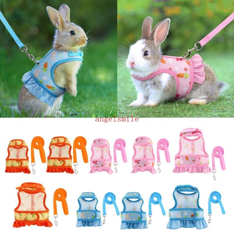 Coelhos Arnês E Trela Roupas Animais Pequenos Para Cobaias Cenoura Vestido Har