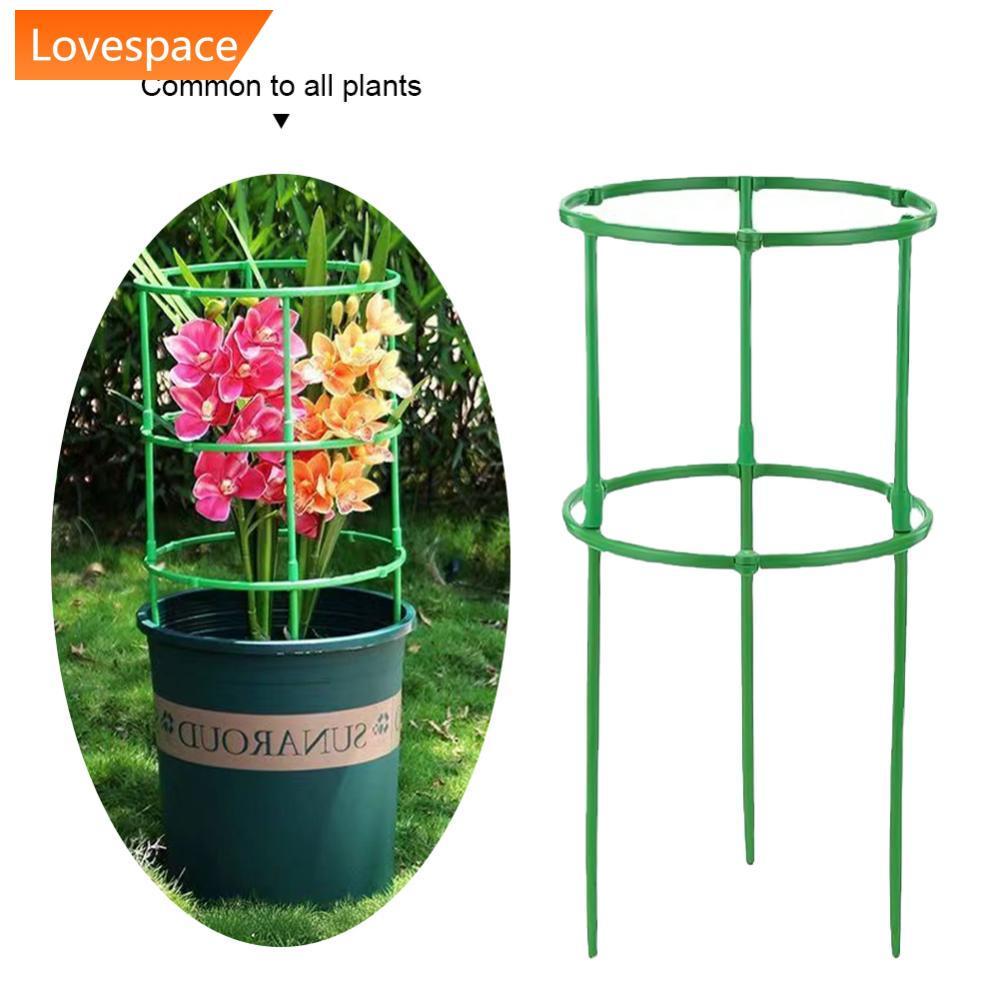 LS-STORE Suporte De Planta Pilha Meia Redonda Escalada Videiras Estaca Bonsai Haste De Fixação Jardim Titular Flor Anel