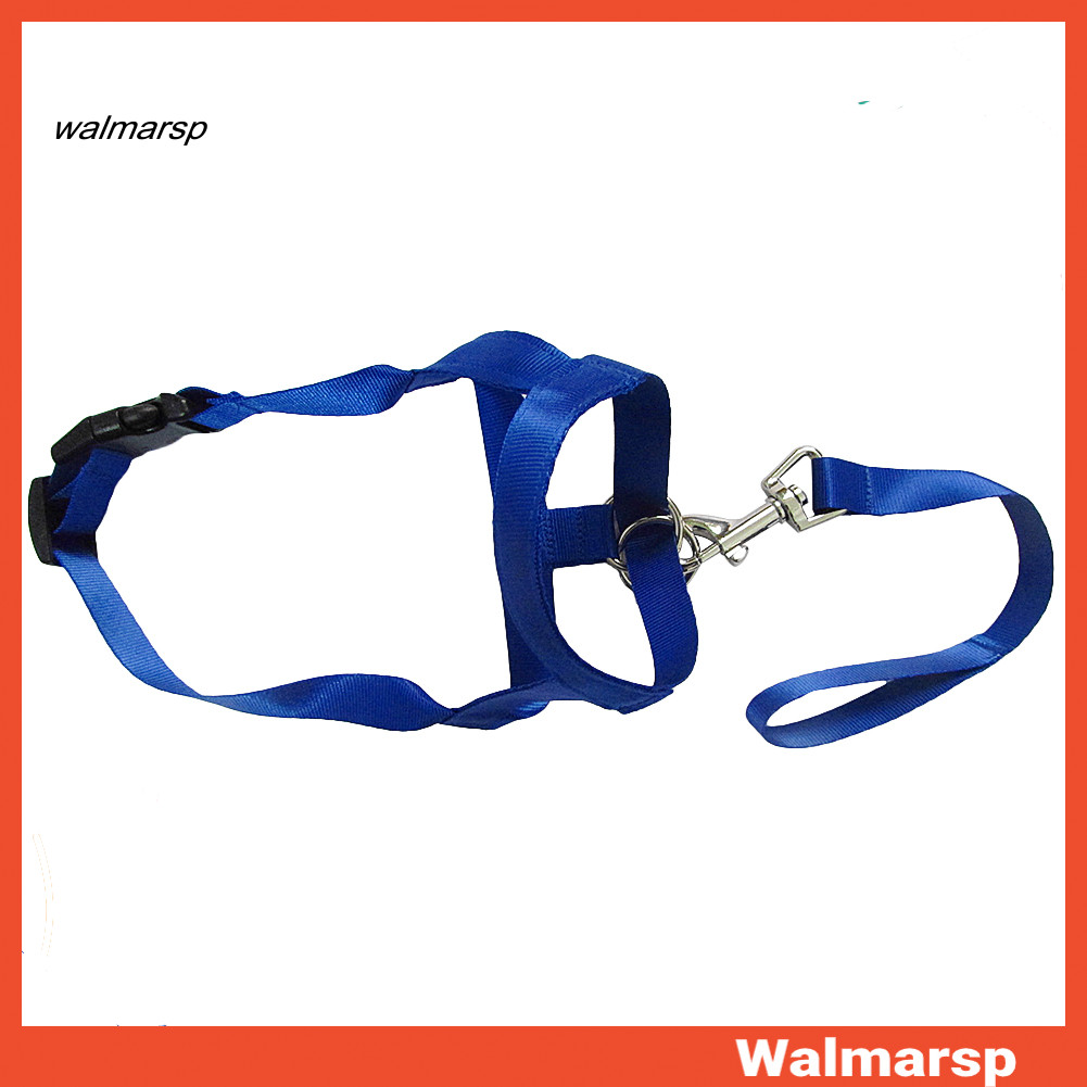 [WMP] Soft Nylon Cachorro Coleira De Cabeça Para Animais De Estimação Gaiola Bucal Treinamento Anti Mordida Máscara De S