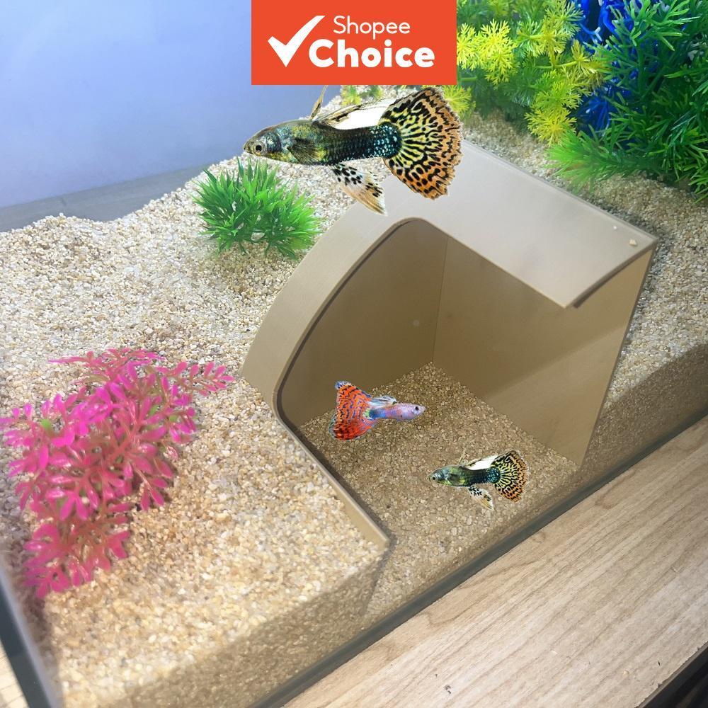 Aquário de canto da universidade: refúgio em caverna para decoração de tanque de peixes axolote e ciclídeos
